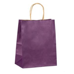 Medium Purple twisted Handle Bags with Serrated Top