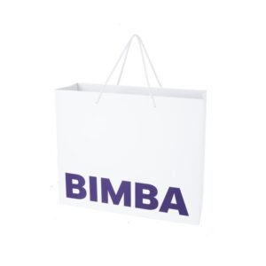 Auto Luxury Paper Bag with Woven Paper Rope Handle