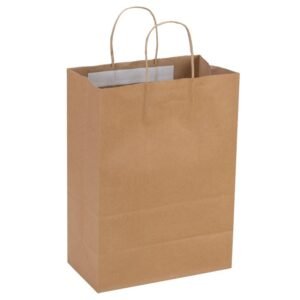 Tamper Evident Paper Bags Craft